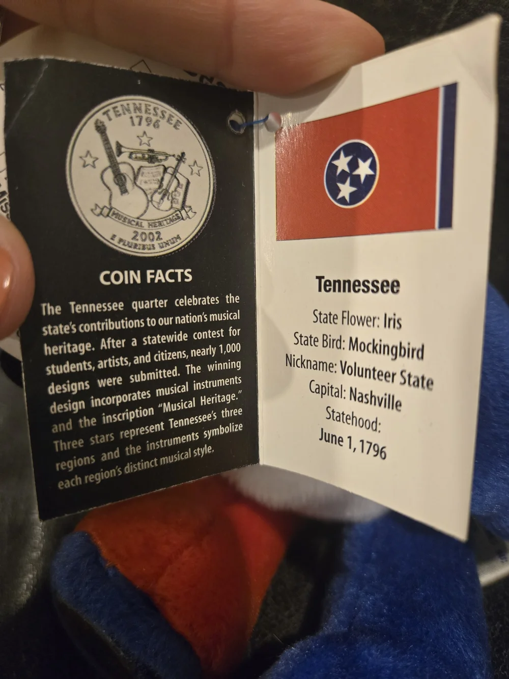 Limited Edition State Quarter Coin Bears – Collectible Plush- Like New - Picture 6 of 12